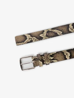 Ceinture Moyenne En Reptile Naturel