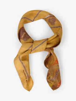 Foulard En Soie à Imprimé Estampe -barbarabui Soldes Magasin D9010DSA 12 additional image e89a664d e13e 43b1 b633 fc43edf277ea