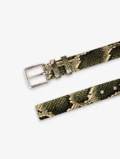 Ceinture Moyenne En Reptile Kaki